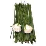 5PCS 24" Green 12 Gauge (2mm) Bendable Floral Wire Stems – Flexible Paper Wrapped / PVC-Coated Metal Wire for DIY Crafts, Artificial Flower Arrangements, Bouquets, and Wreaths