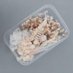 Natural Dried Flowers Box (White) – Real Mixed Dried Flowers & Leaves for Resin Art, Candle Making, Jewelry Crafts & Home Decoration