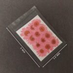 12pcs Real Natural Dried Pressed Daisy Flowers | Vacuum-Sealed Pack for Resin Art, Jewelry & Crafts