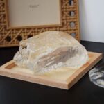 High-Density Clear Gel Wax 500g – Transparent Decorative Candle Gel for Container & Embedded Candles