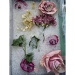 Silica Gel Beads - Flower Drying Desiccant Crystals for Preserving Roses, Bouquets, Crafts & Botanical Arrangements - Image 5