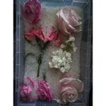 Silica Gel Beads - Flower Drying Desiccant Crystals for Preserving Roses, Bouquets, Crafts & Botanical Arrangements - Image 6