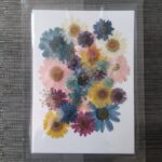 Multicolor Real Natural Dried Pressed Flower | Vacuum-Sealed Pack for Resin Art, Jewelry & Crafts